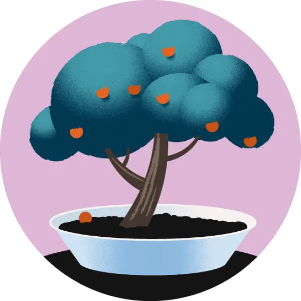 Research Strategy Design Research