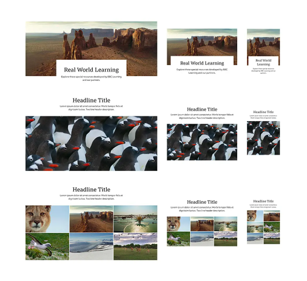 BBC Responsive Components