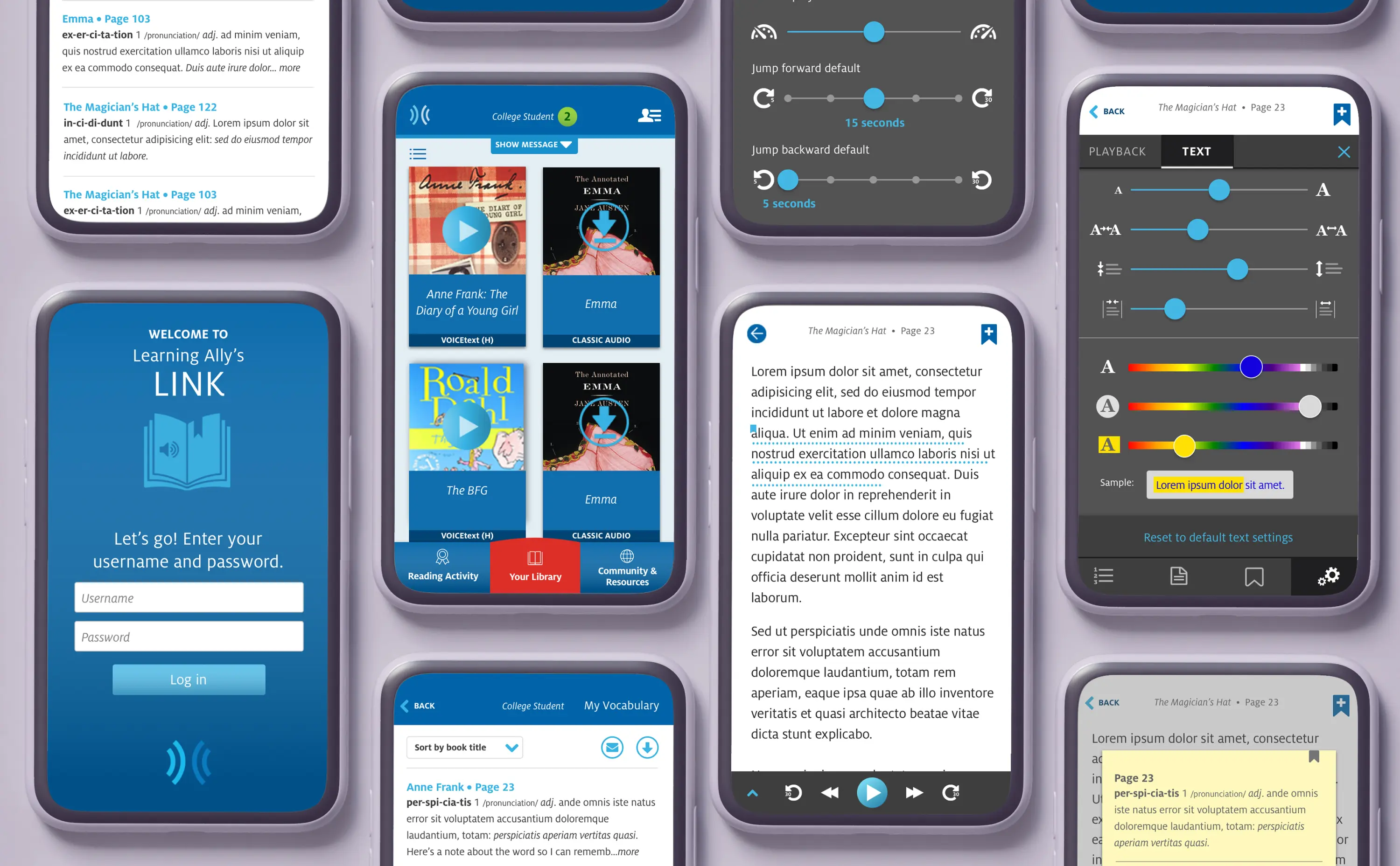 Learning ally screens