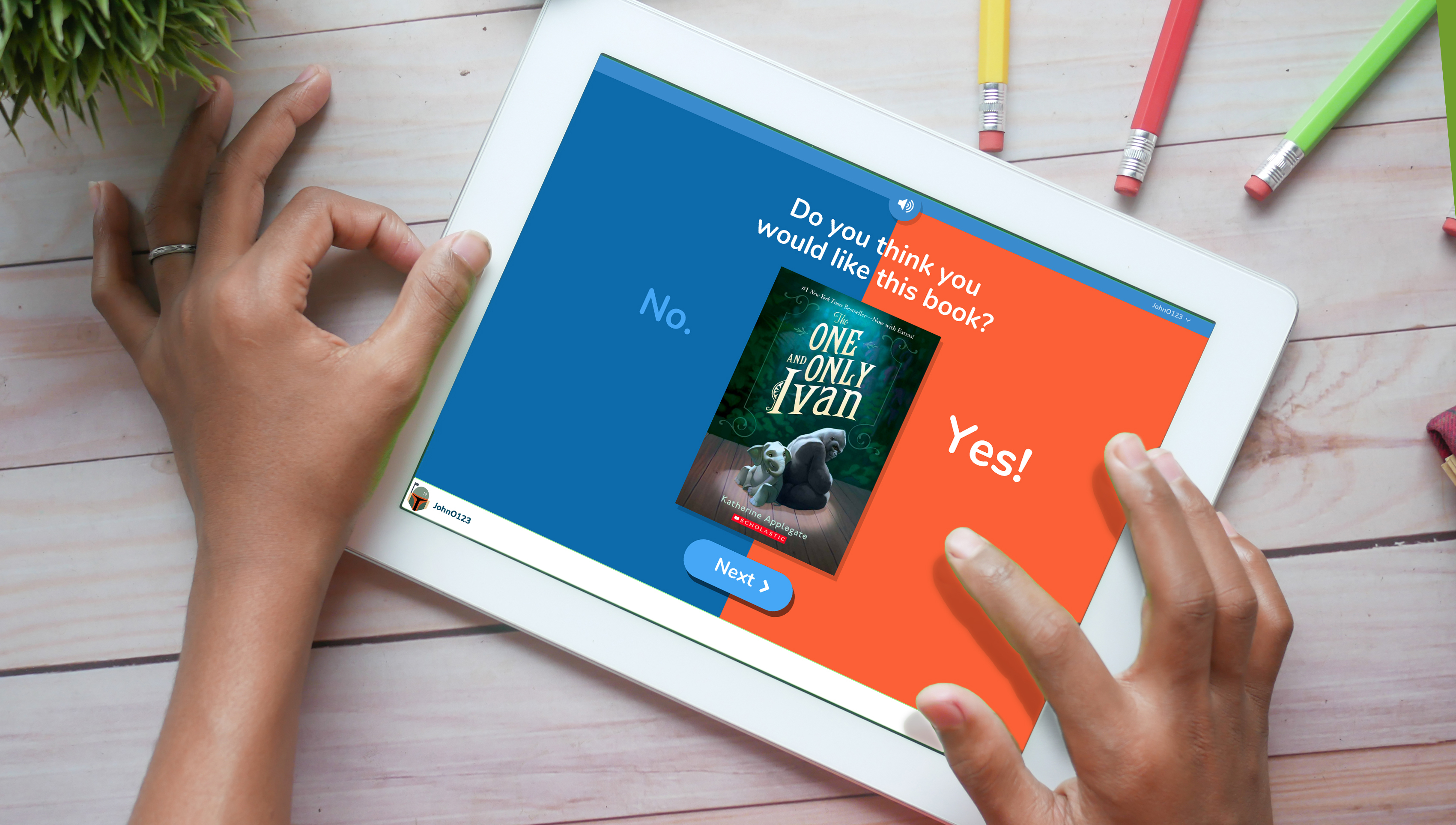 Litpro thumbnail 01a